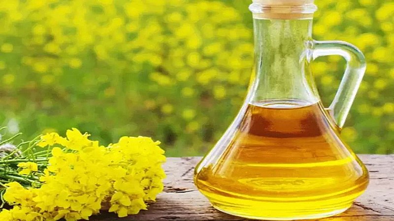 Mustard Oil Benefits: सरसों का तेल एक फायदे अनेक, जानिए कितना फायदेमंद है ये