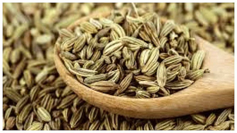 Fennel Seeds Benefits: पीरियड की समस्याओं से राहत दिलाता है सौंफ, गर्भवती स्त्रियां संभलकर करें इसका सेवन