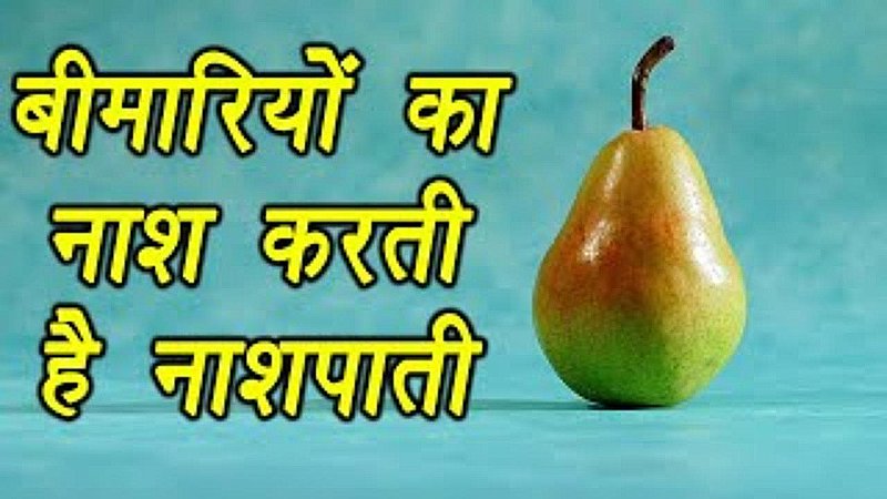 Pears Fruit Benefits: नाशपाती में भरा है सेहत का खज़ाना, जानिए कितना फायदेमंद है ये फल