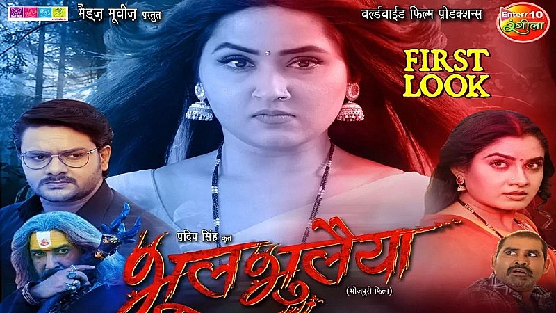 Bhojpuri Film: अब भोजपुरी में भी आने वाली है फिल्म भूल भुलैया, यहां पढ़े फिल्म से जुड़ी पूरी डिटेल