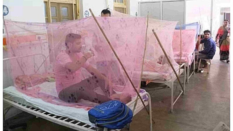 Moradabad News: मुरादाबाद में डेंगू का कहर, लगातार बढ़ रहे मरीज, स्वास्थ्य विभाग में हड़कंप