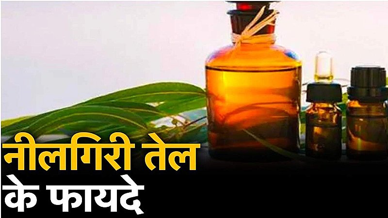 Eucalyptus Oil Benefits: नीलगिरी के तेल के फायदे और उपयोग, नहीं पता होगा आपको कितना गुणकारी होता है ये तेल