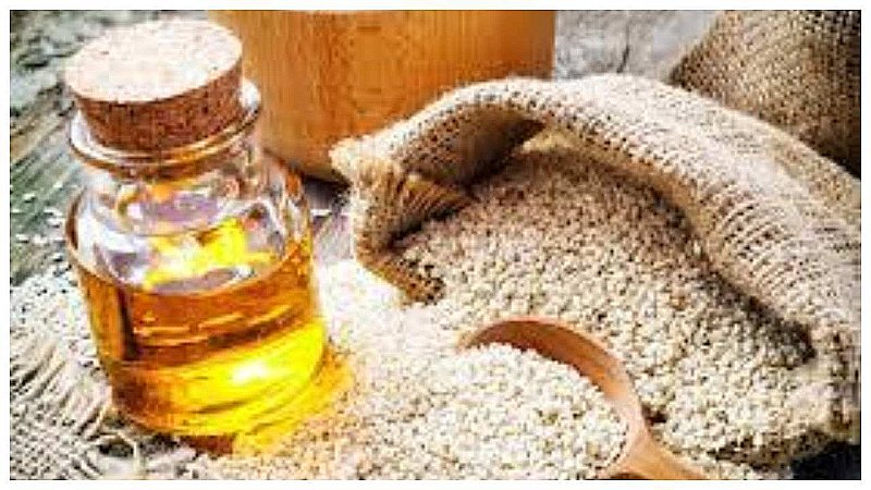 Sesame Oil Benefits: शरीर के लिए किसी औषिधि से कम नहीं है तिल का तेल , कई बिमारियों को करता है जड़ से ख़त्म