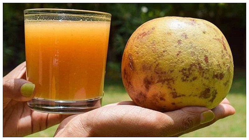 Bel Juice Benefits: बेल के रस से त्वचा रहती है चिकनी, मूत्र सम्बन्धी परेशानियों को भी करता है दूर