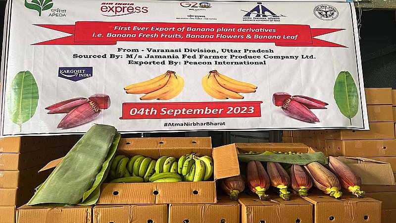 Varanasi News: पूर्वांचल के फल और सब्जियां ही नहीं, बल्कि उसके पत्ते और फूल भी हुए निर्यात