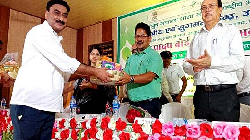 Pratapgarh News: आंवले की खेती है फायदे का सौदा, विशेषज्ञों ने दी जानकारी