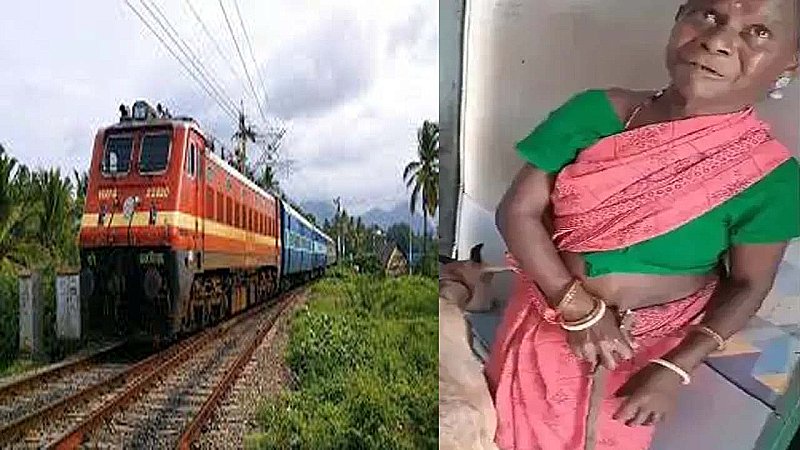 Train Ticket For Goat: ट्रेन में महिला यात्री ने जब TTE को दिखाया बकरी का भी टिकट, दिल छू लेगा ईमानदारी का ये वीडियो